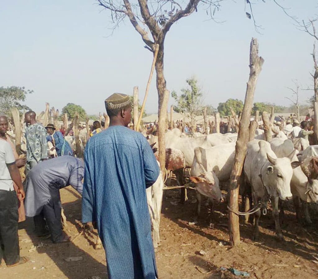 Community kills bandit, recover livestock