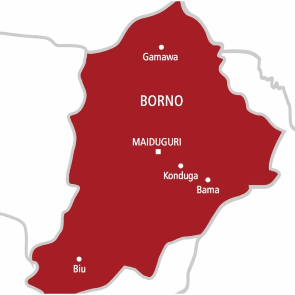 Diaptheria: 59 deaths recorded in Borno