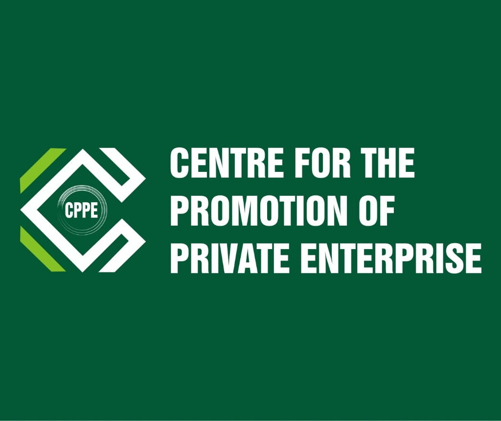 Fix power, forex, transportation to tame soaring inflation - CPPE tells FG