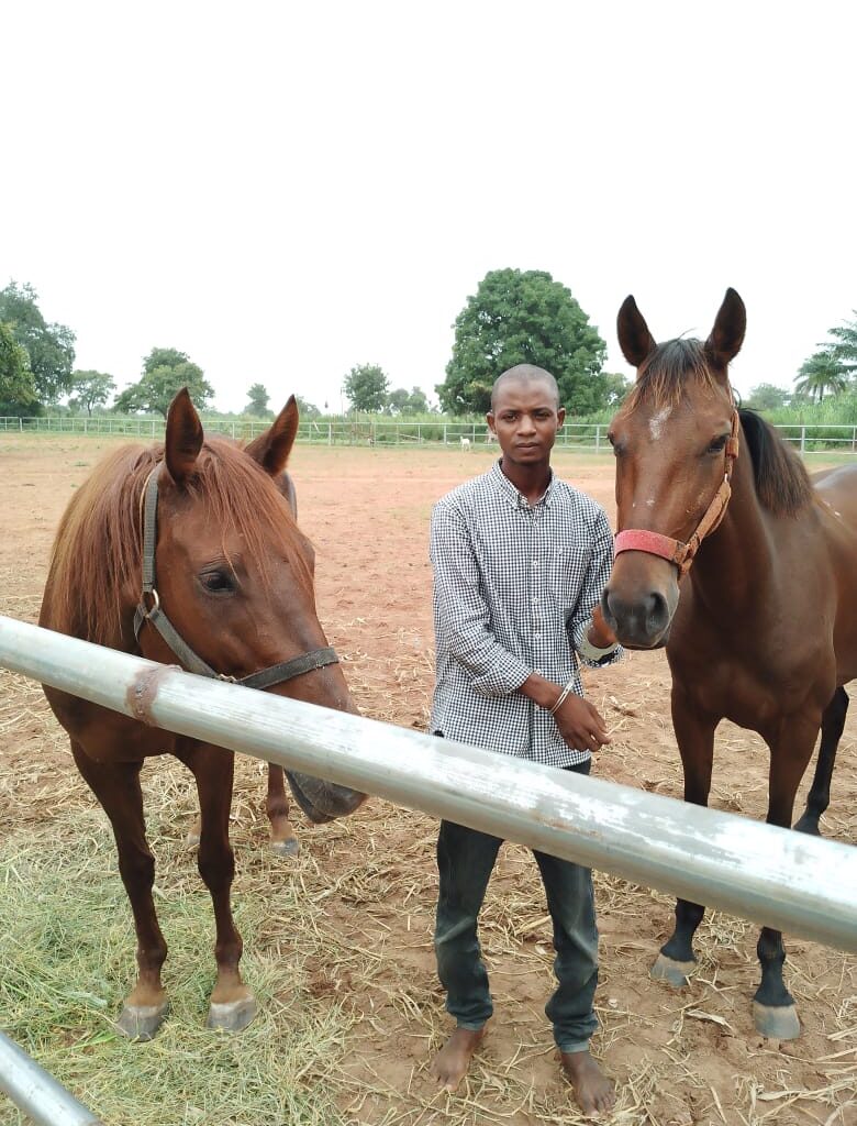 Man lands in Police net for stealing two female horses in Niger