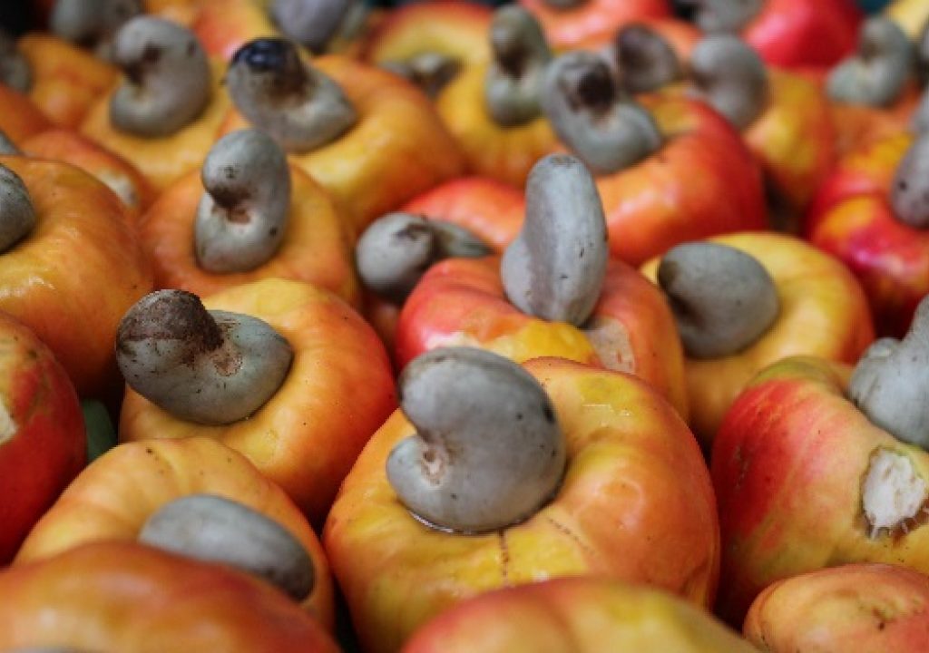 Nigeria exports N146bn worth of cashew in first half of 2023