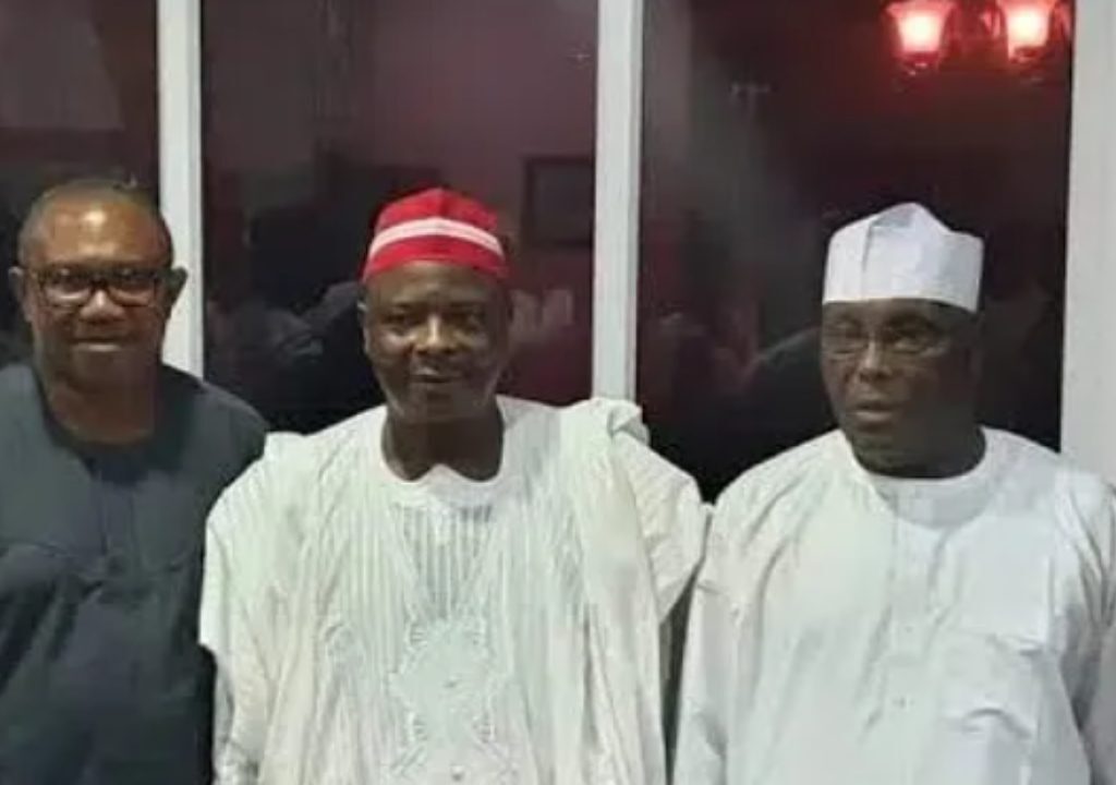 Tinubu's academic records: 'Join me in this battle' - Atiku begs Peter Obi, Kwankwaso