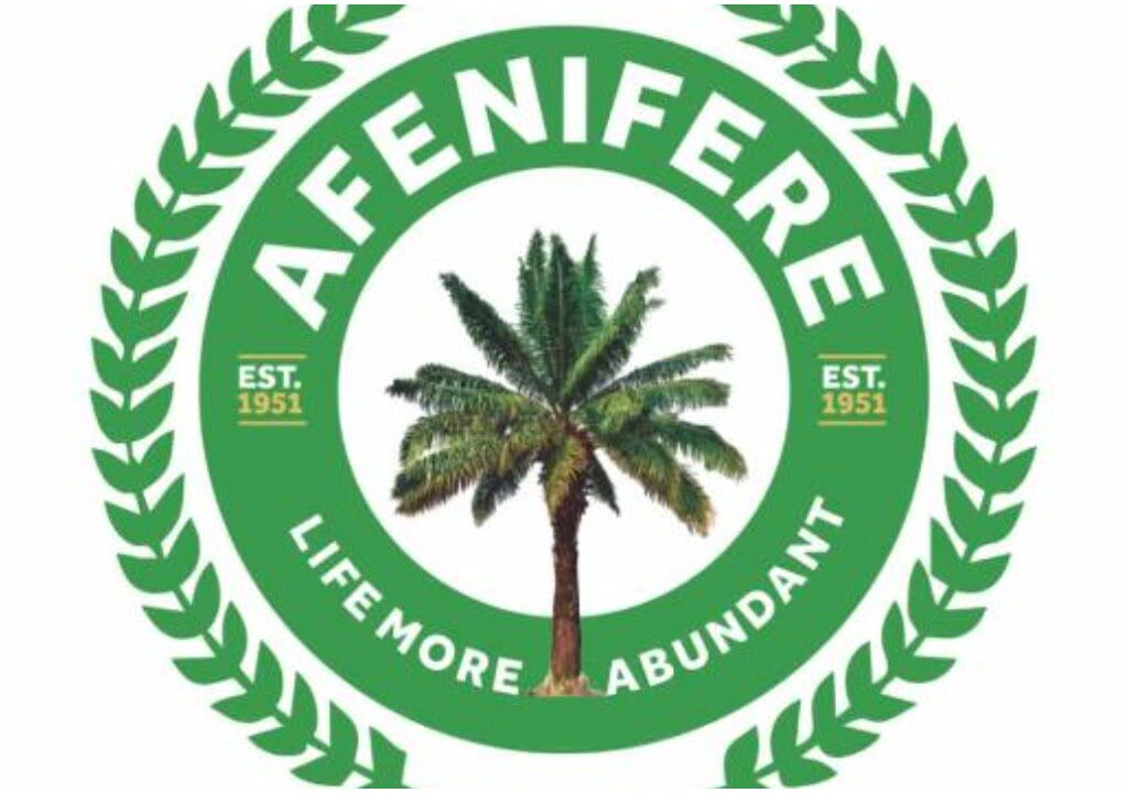 Afenifere flays NASS over purchase of N160m SUVs amid economic downturn