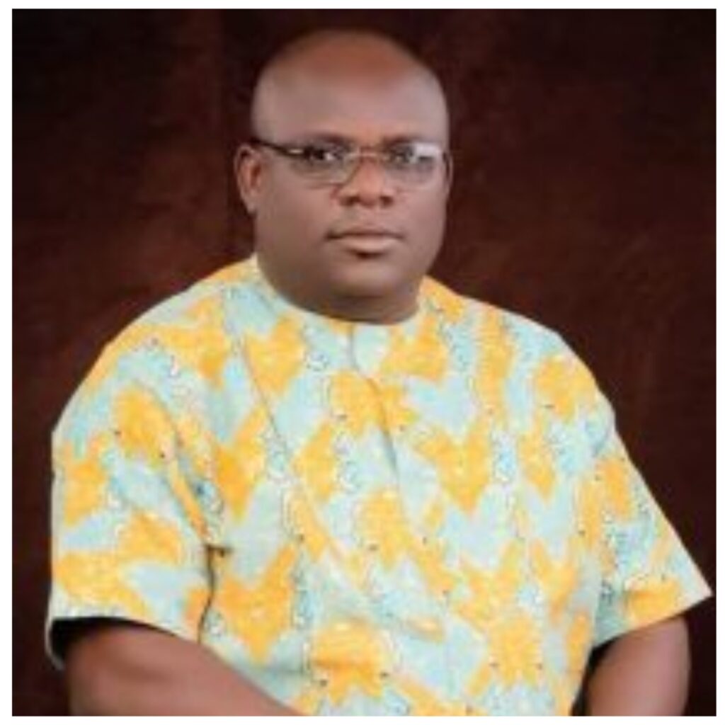 Court of Appeal upholds Abia PDP Rep's election