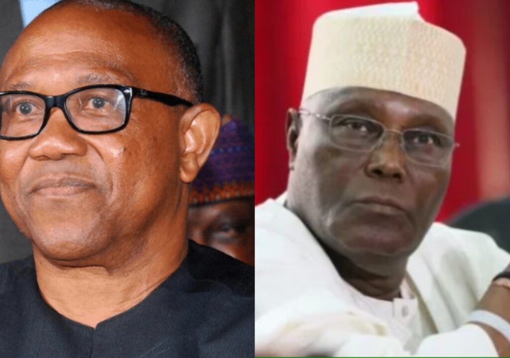 Don’t destroy democratic institutions - Ohanaeze to Obi, Atiku