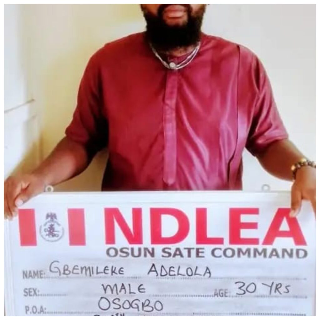 NDLEA raids drug den, arrests three in Osun