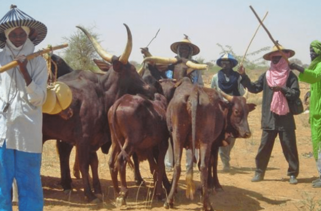 Nigeria spends $1.7bn yearly on milk imports - Cattle breeders