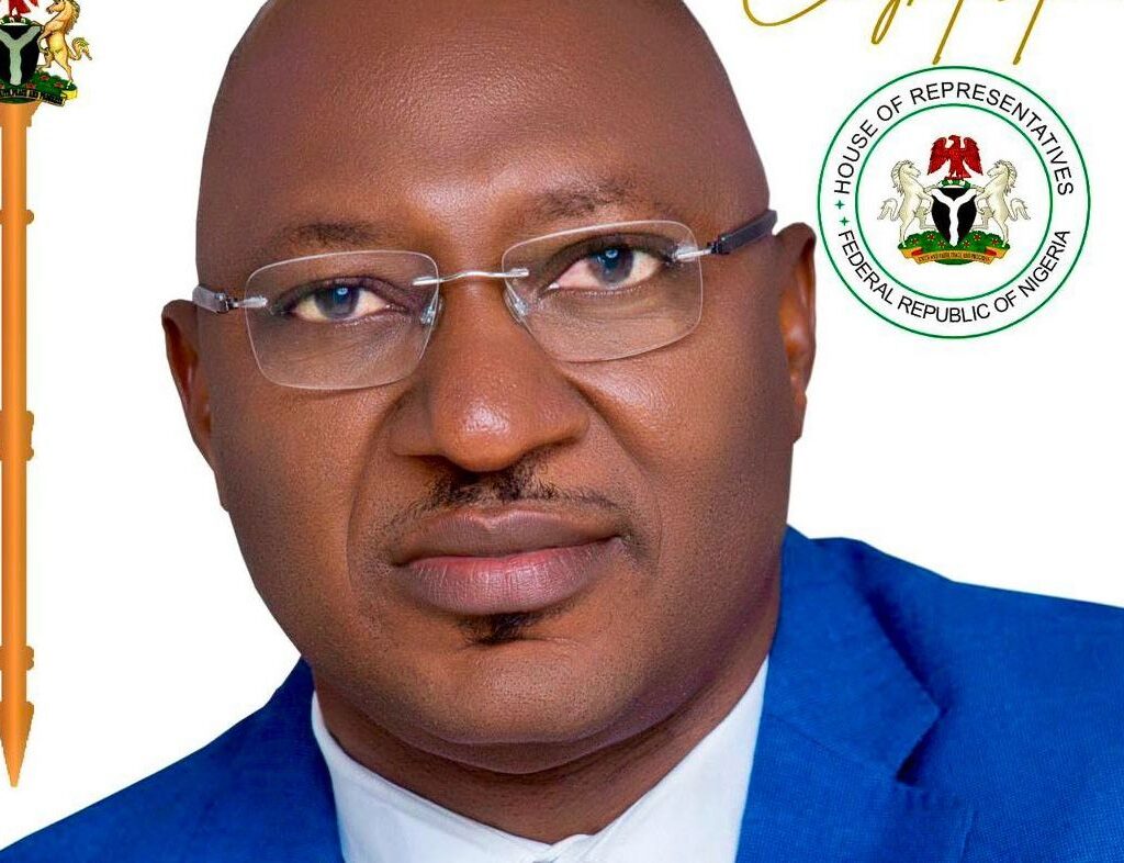 Reps Seat: Appeal Court sacks Cornelius Nnaji, upholds election of LP's Nnamchi