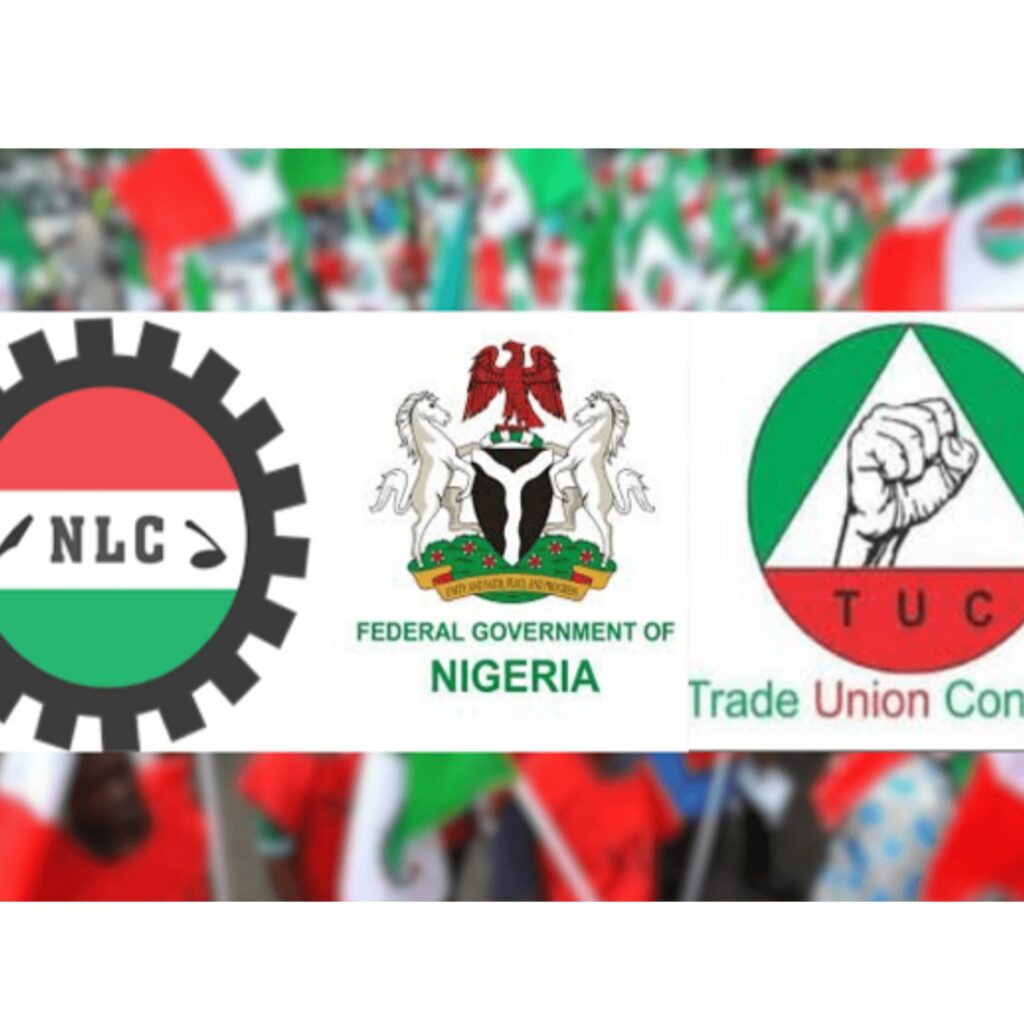 Strike: Details of FG's meeting with NLC, TUC leadership revealed