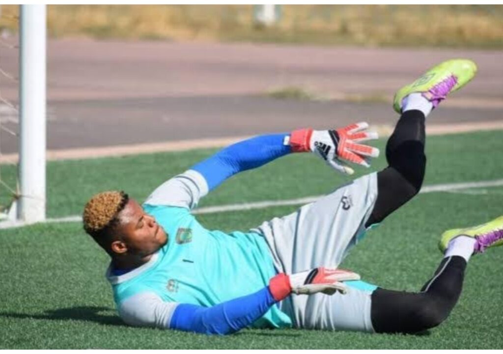 Chippa United goalkeeper Nwabili keen to make Super Eagles AFCON squad