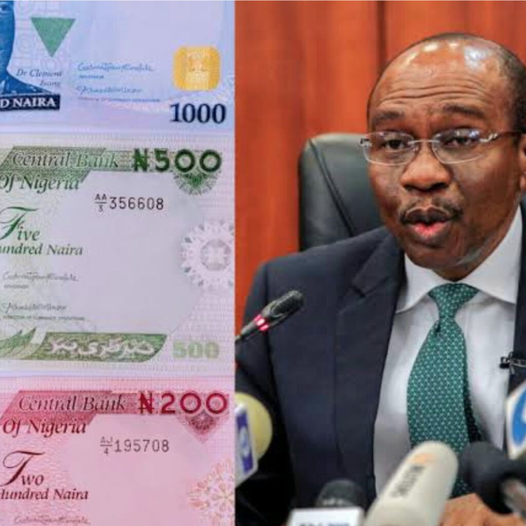 Emefiele's naira redesign renders farmers bankrupt - FG