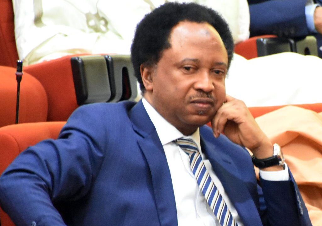 Ondo facing ‘Yaradua quagmire’ - Shehu Sani on Commissioners forging Akeredolu's signature