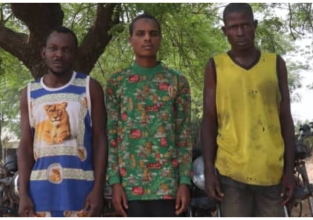 Police bust motorcycle snatching syndicate in Niger