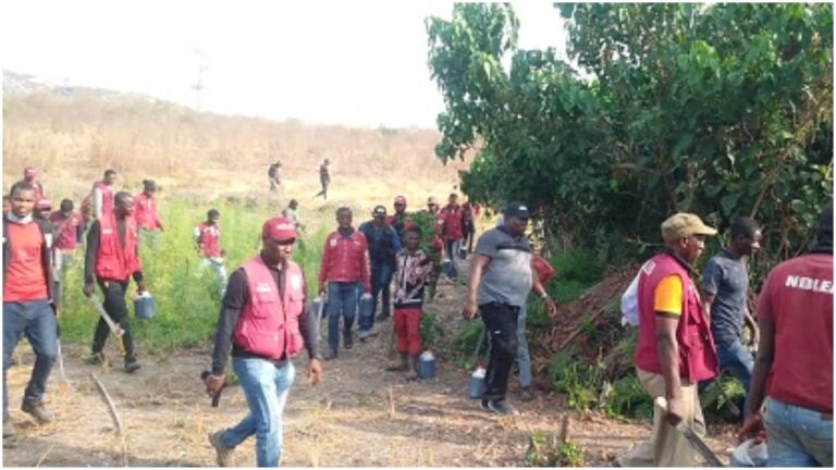 Army hands over suspect, 176kg of Indian hemp to NDLEA in Ogun