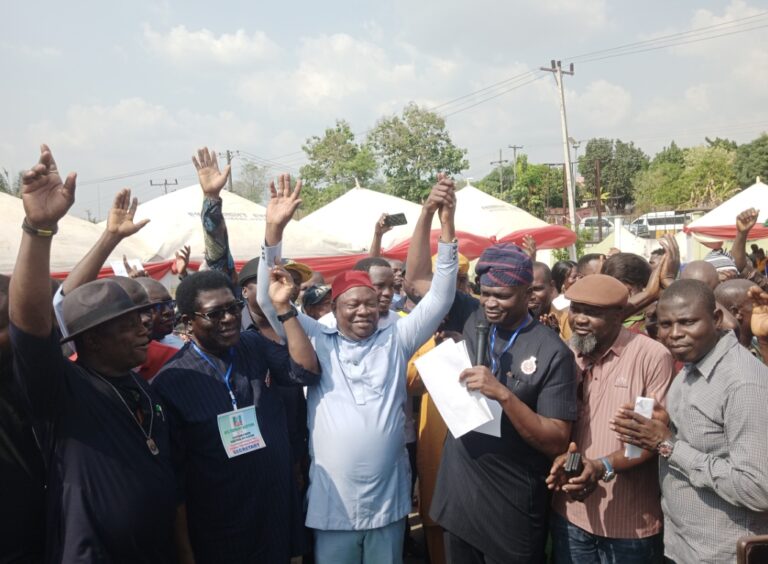 Bye-election: University don, Ani emerges APC senatorial candidate for Ebonyi South