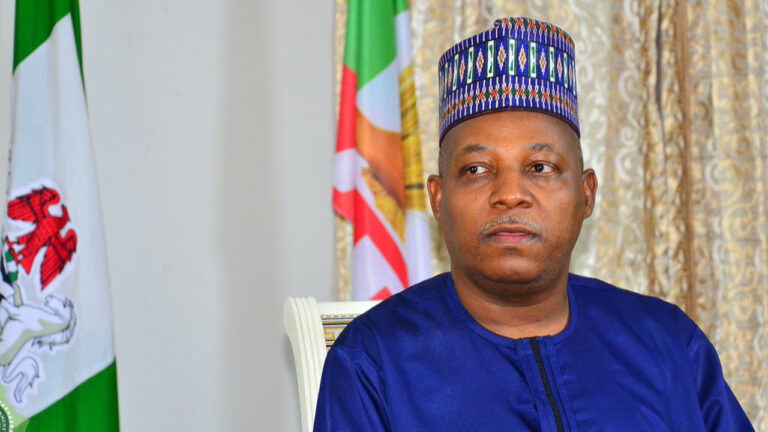 Nigeria open to support for job creation, agricultural infrastructure - Shettima tells McNair