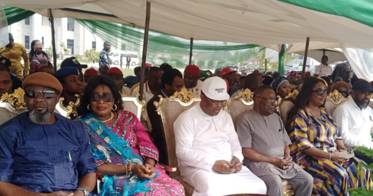 No 2nd term for council chairmen in Ebonyi - APC boss, Emegha