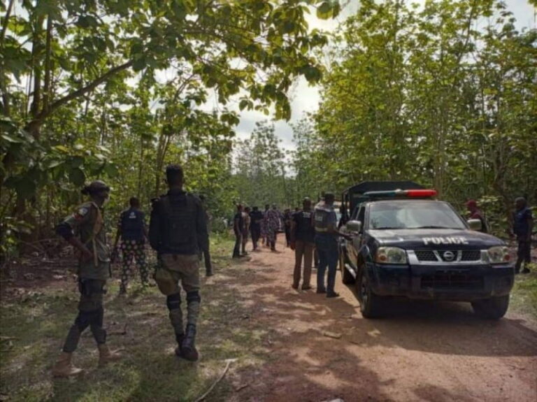 Police comb Imo forest, uncover 3 decomposing bodies