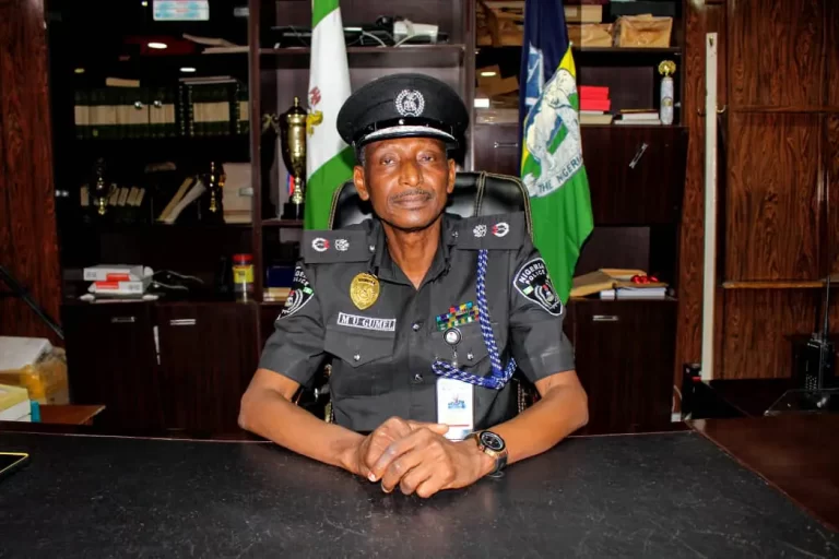 S'Court judgment: We recorded zero crime during celebration in Kano – CP Gumel