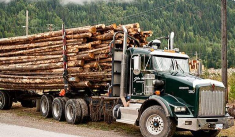 Taskforce intercepts illegal timber shipment in Taraba