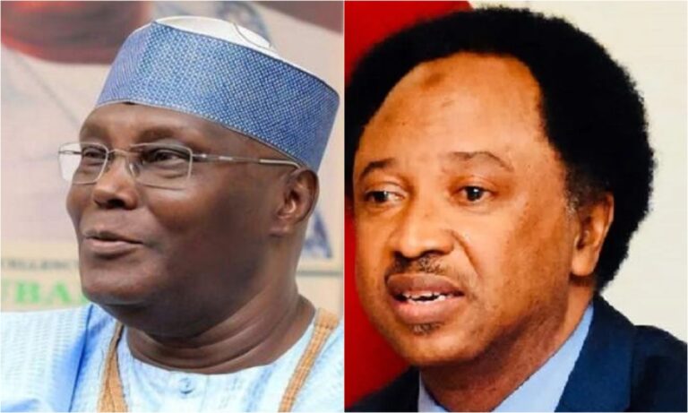 AFCON 2023: Not expected result - Atiku, Shehu Sani react to Super Eagles' defeat