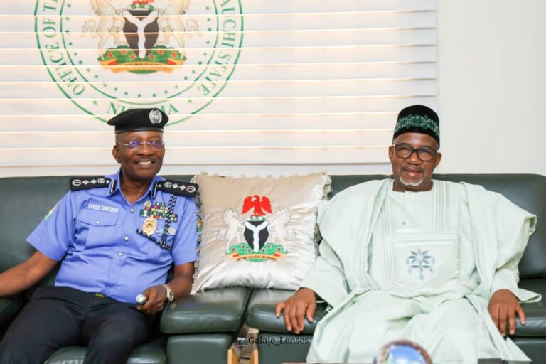 Insecurity: Bauchi among 10 pilot states to get Special Intervention Squad - IGP reveals