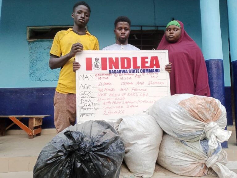 NDLEA intercepts 14.5 tons of 'Ghanaian Loud' linked to wanted drug baron in Lagos