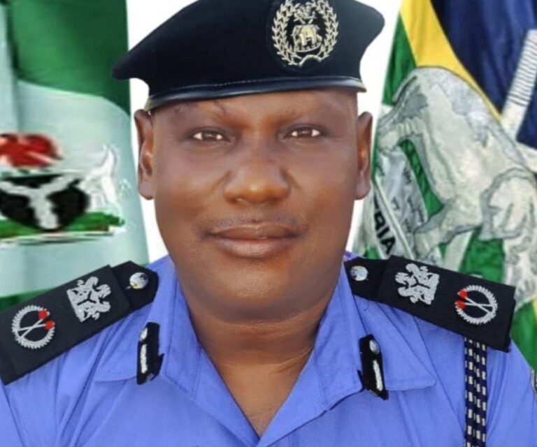 New Police commissioner takes over Adamawa, pledges community policing