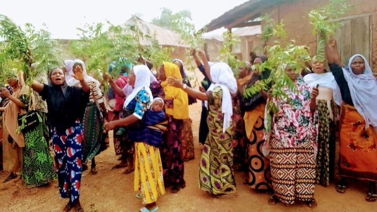 Olufon stool: Osun women stage protest, demand due process