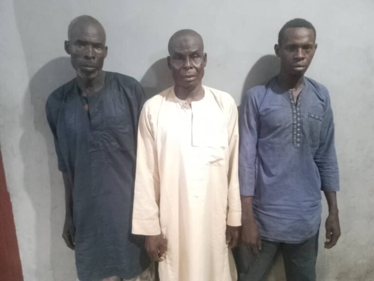Police arrest three suspected kidnappers, rescue female victim in Adamawa