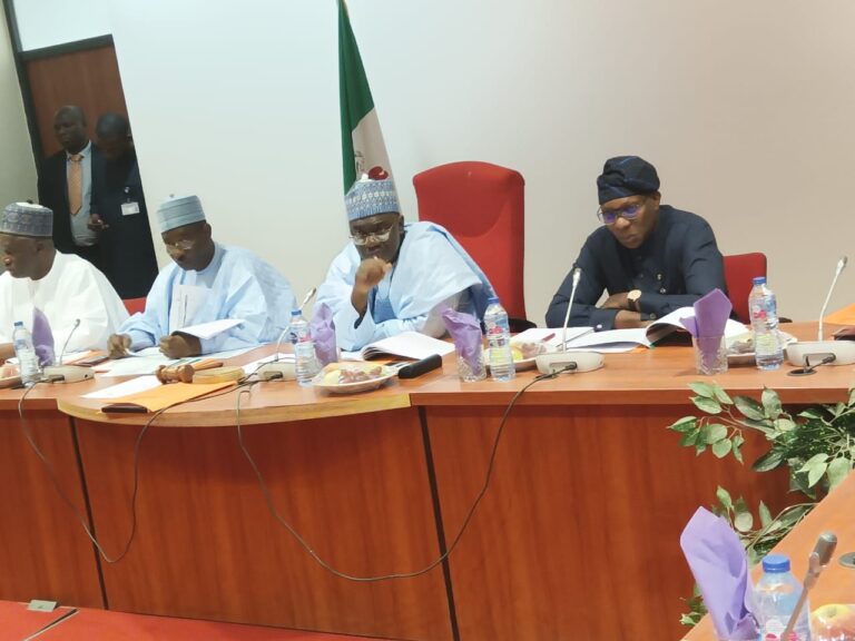 Senate will review Customs revenue target — Senator Isah