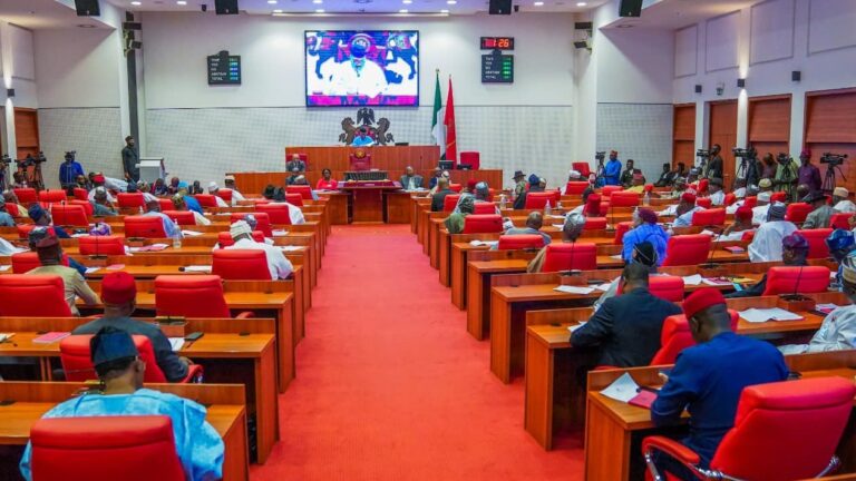 Senate denies padding 2024 budget