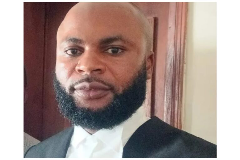 Pass laws establishing separate cells, toilets for transgenders - Lawyer writes NASS