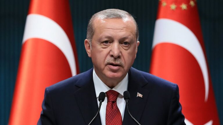 Türkiye stopped trade with Israel to compel ceasefire - President Erdogan