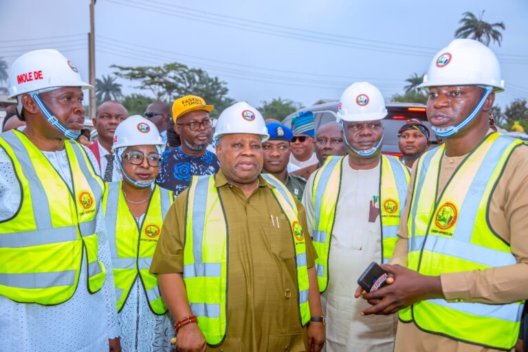 Amid Celebrations, Governor Adeleke Revives Power Project Abandoned for 11 Years