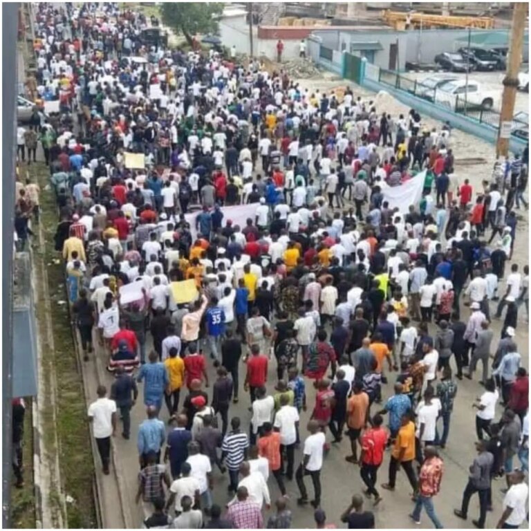 Violence: Kano protest organisers must be held accountable - Waiya