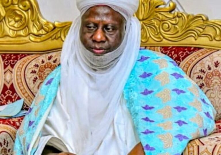 Emir Of Minna Denies Asking Tinubu To Probe Past Leaders