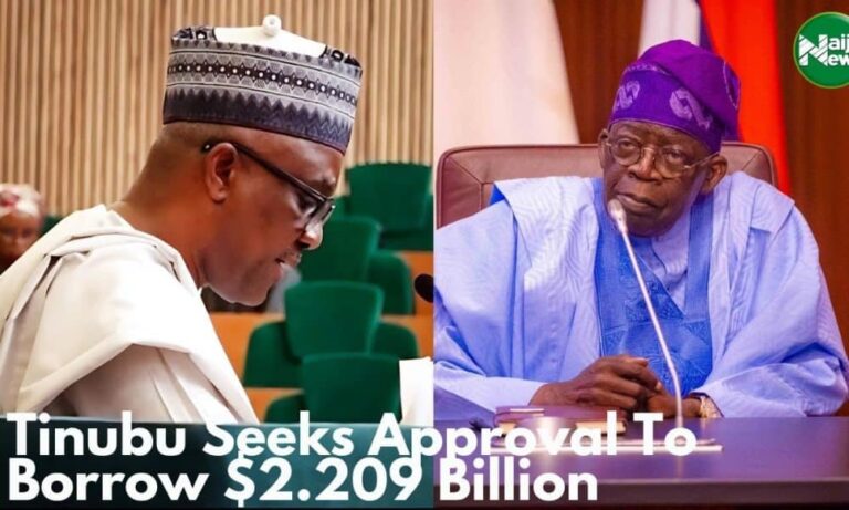 VIDEO: Tinubu Seeks Approval To Borrow $2.2 Billion