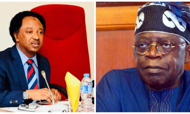 You Brought Tinubu To Office, Don't Antagonize The Baby You Delivered - Shehu Sani Tells Northerners