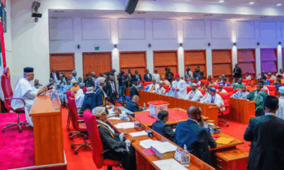 1999 Constitution Review: Senate To Consider 31 States Creation Requests, State Police, Other Bills