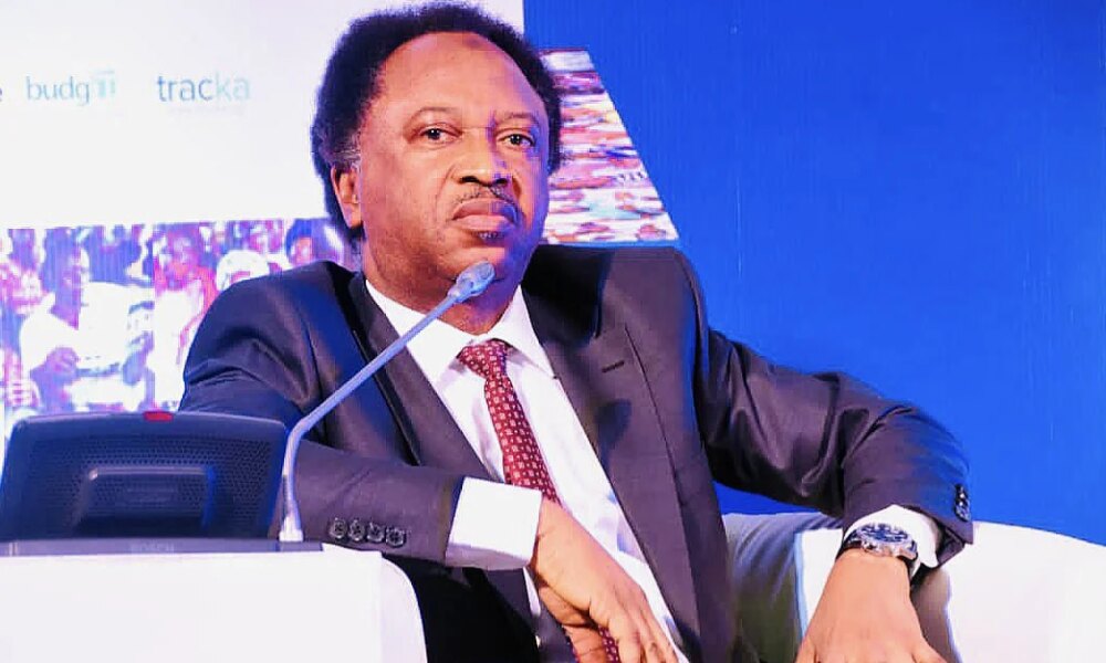 2027: Shehu Sani backs Tinubu, Uba Sani’s re-election, gives reasons