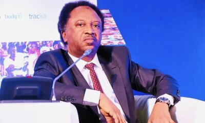 2027: Shehu Sani backs Tinubu, Uba Sani’s re-election, gives reasons