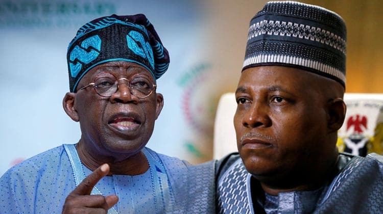 2027: The Endorsement Of Tinubu, Omission Of Shettima Is An Indication Of The Reality Of Politics - Amadi