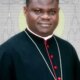 Benue: Catholic diocese passes vote of confidence in bishop