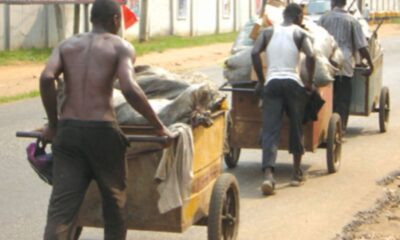 Benue LG Chairman bans 'iron condemn' over rising security threats