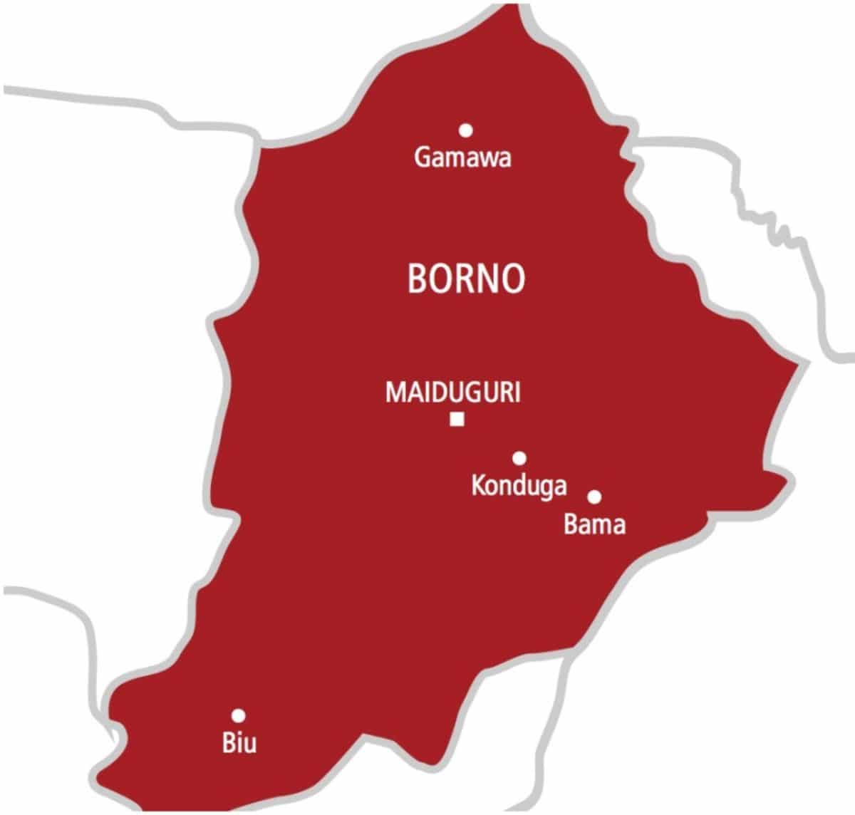 Bomb explosion kills four in Borno