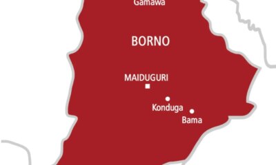 Borno: Soldier stabs ex-military man to death in late-night dispute