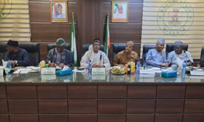 PDP Governors