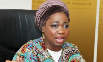 Dabiri-Erewa Hails Nigerians Who Won Elections In UK