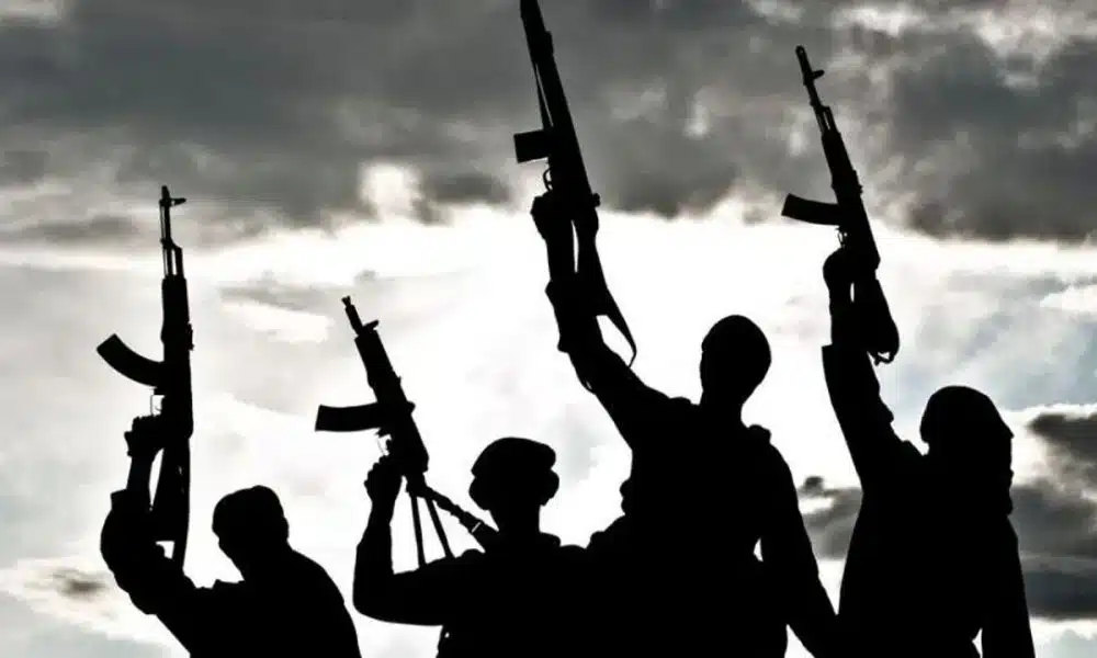 Gunmen Kill PDP LG Chairman In Fresh Benue Attack